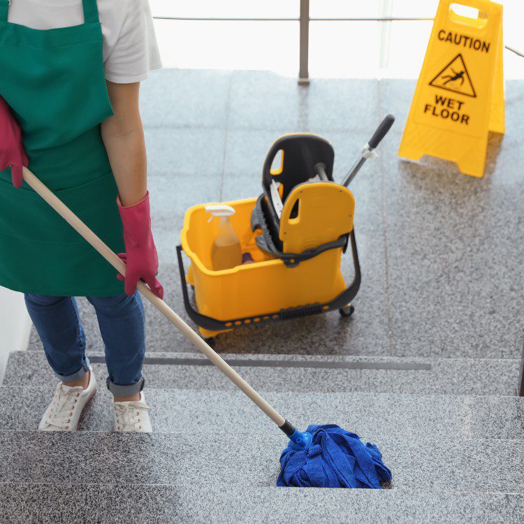Cleaning Services in Mansfield, TX Cleaning Services in Mansfield, TX